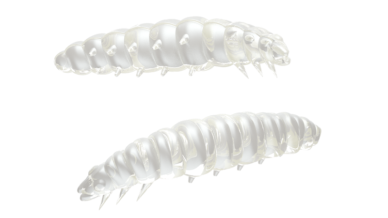 Larva