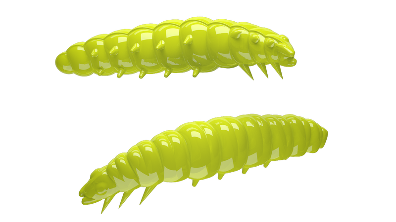 Larva