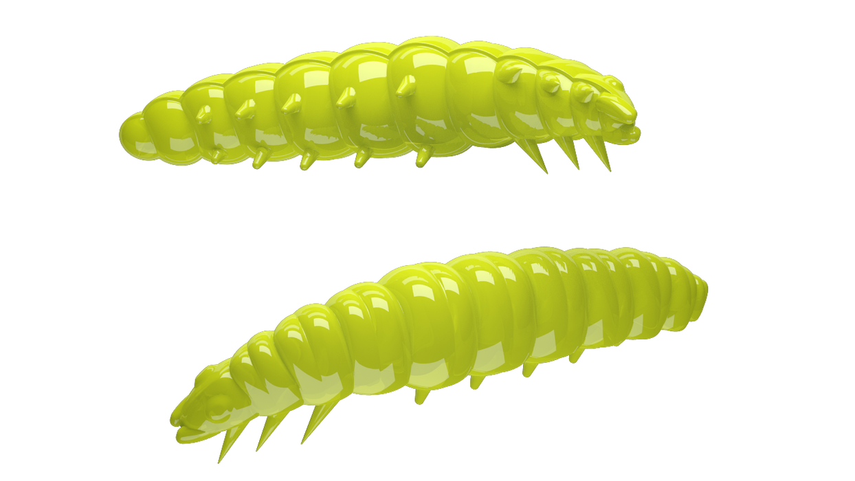 Larva