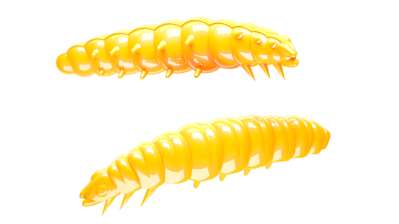 Larva