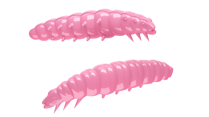 Larva