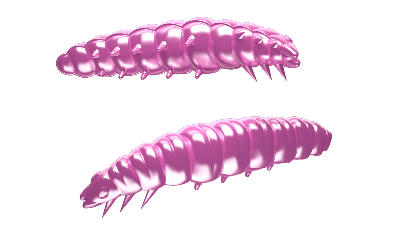 Larva