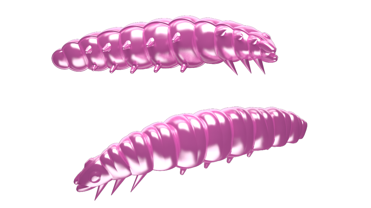 Larva