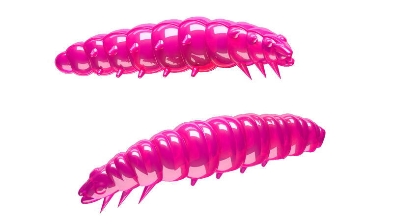 Larva