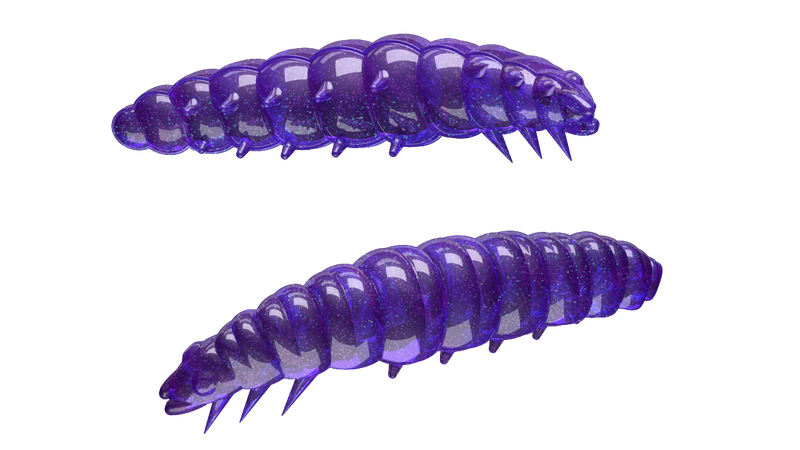 Larva