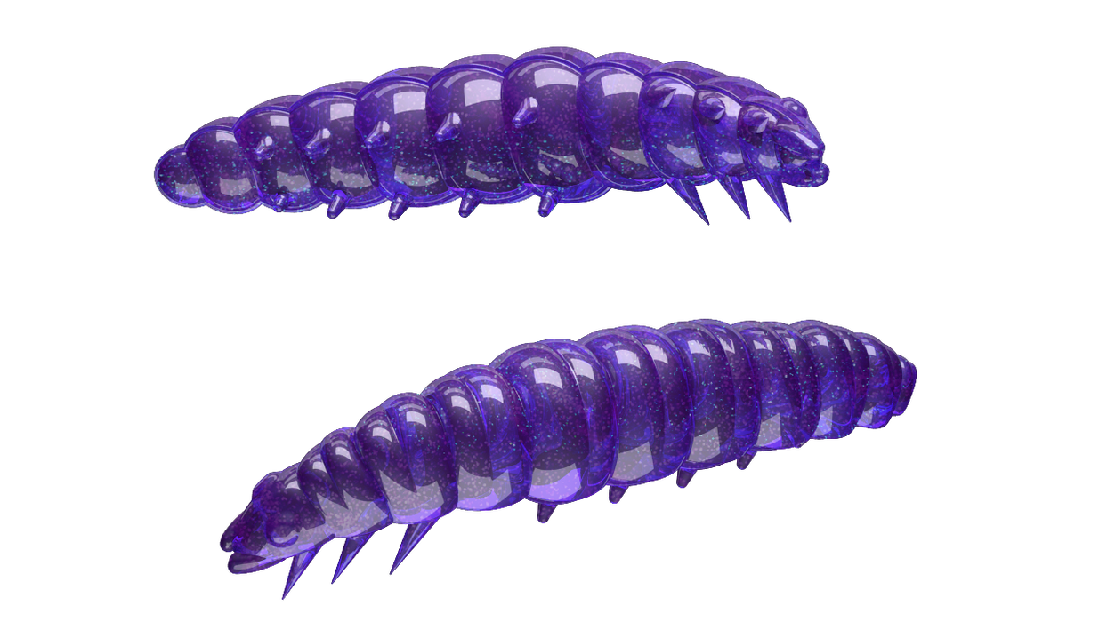 Larva