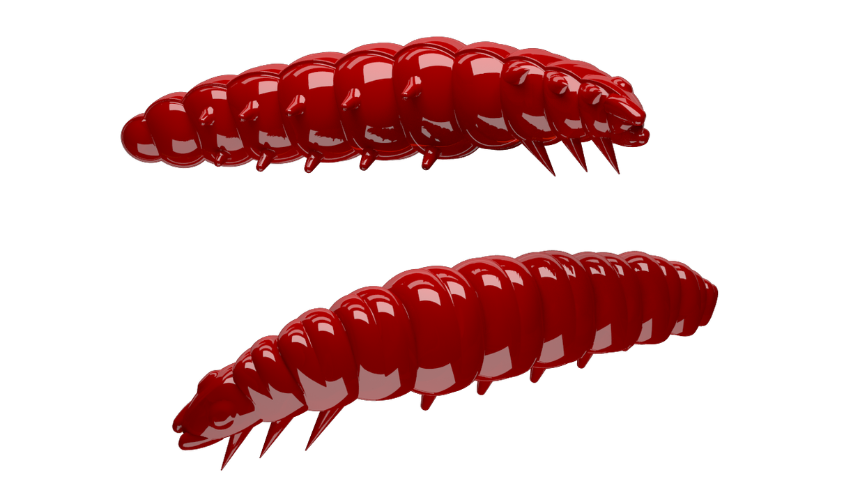 Larva