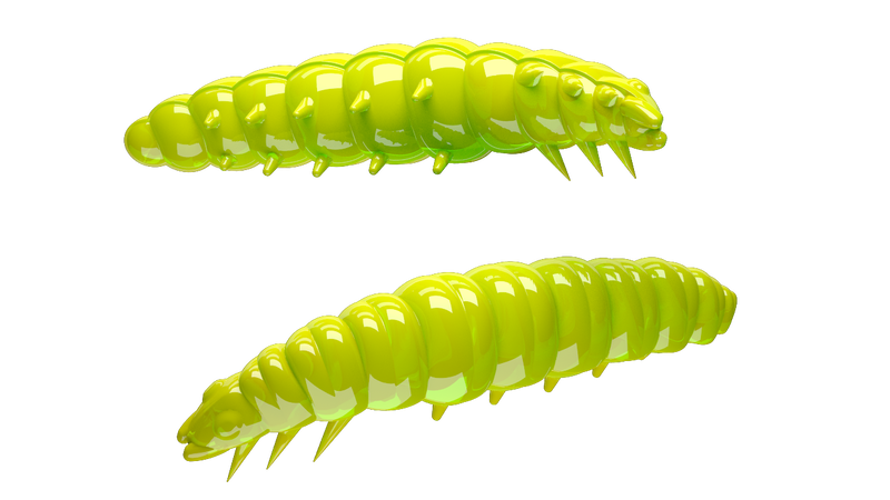 Larva