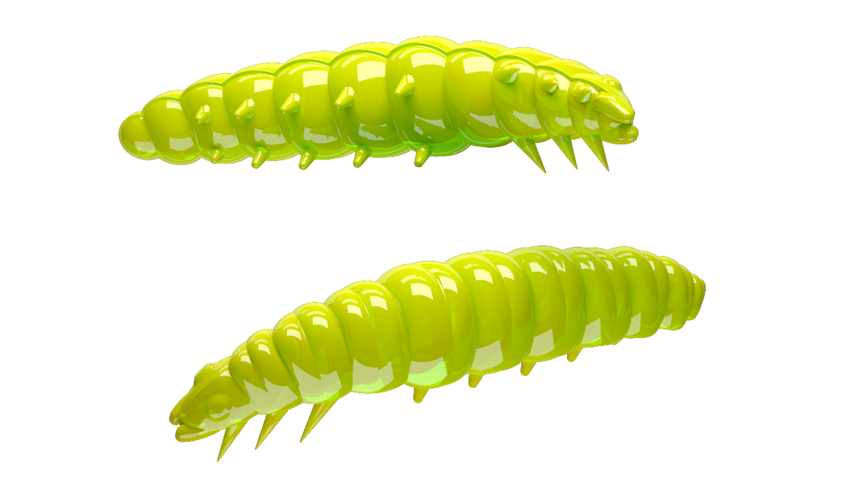 Larva