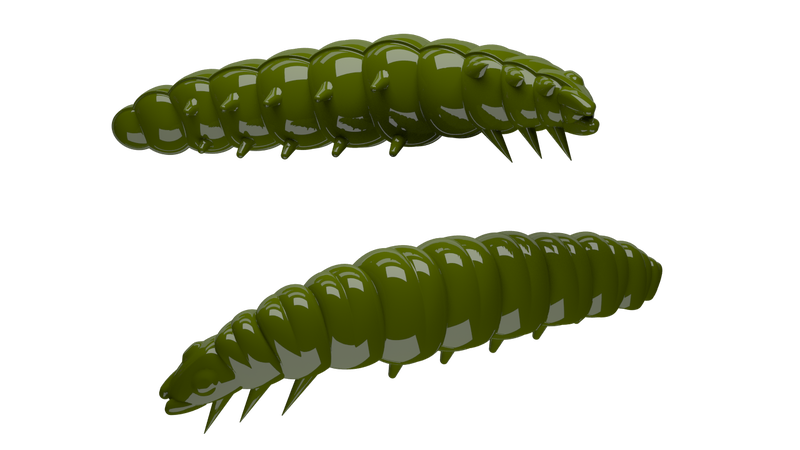 Larva