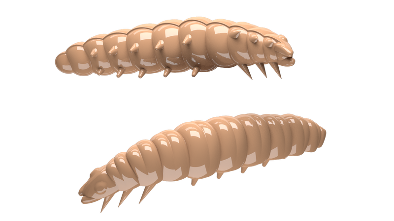 Larva