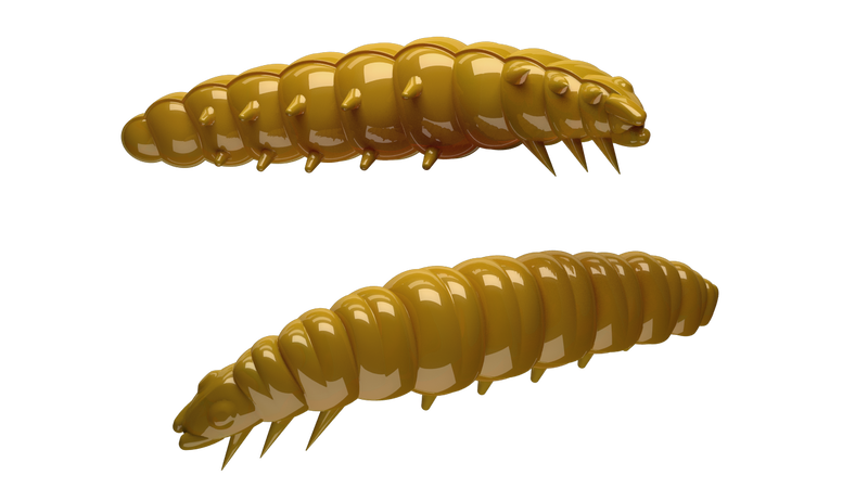 Larva