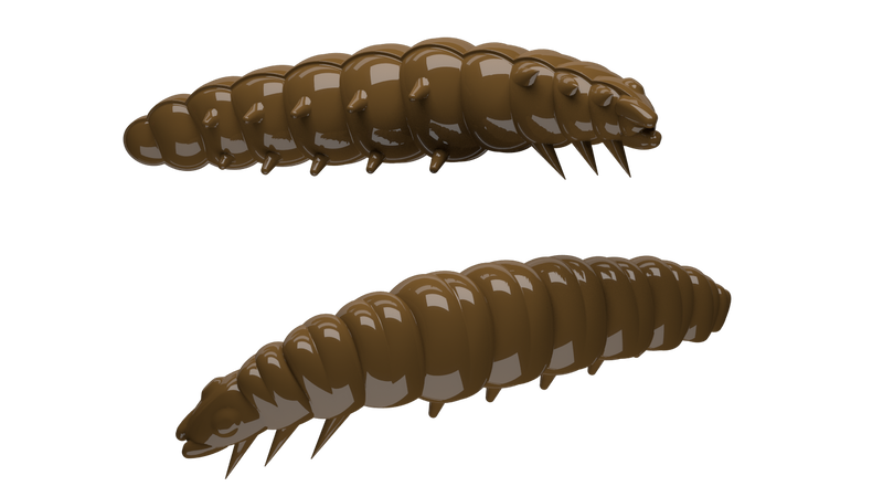 Larva