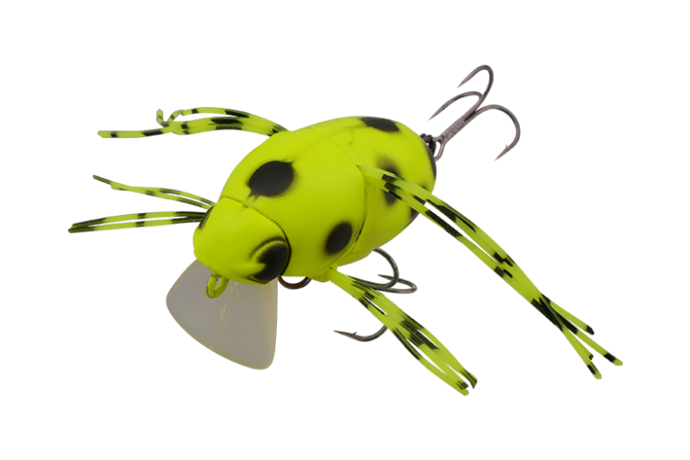 CHUBBY BUG 35