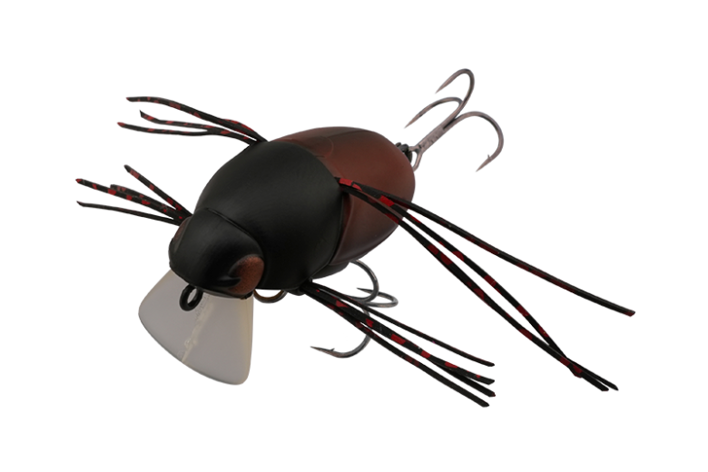 CHUBBY BUG 35