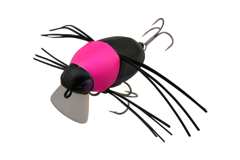 CHUBBY BUG 35