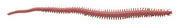Berkley Gulp Sandworm 6-inch soft lure resembling a ragworm, used for fishing bait, with detailed textured body and natural color.