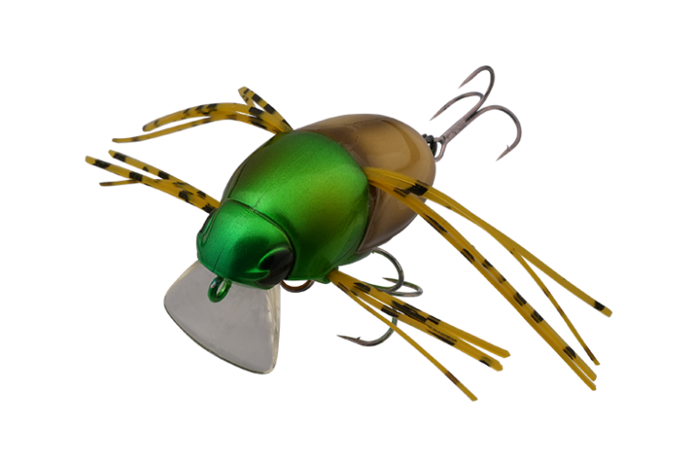CHUBBY BUG 35