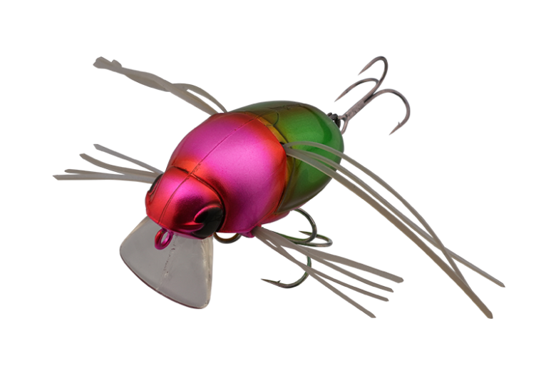 CHUBBY BUG 35