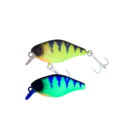 MAGNUM CHUBBY 50F - Ebisu