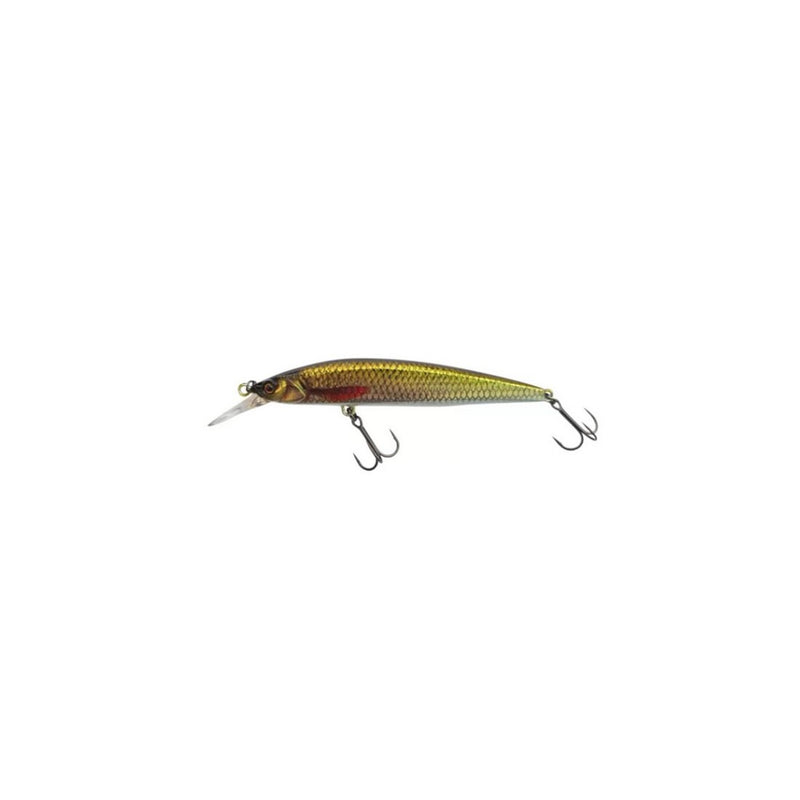 RERANGE 85SP MR